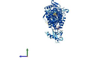 AlphaFold protein structure predicition of Mouse Recombinant Hal Protein, UniprotID P35492
