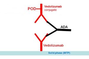 Image no. 1 for Vedolizumab Antibody ELISA Kit (ABIN5519325) (Vedolizumab Antibody ELISA 试剂盒)