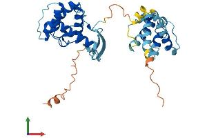 AlphaFold protein structure predicition of Mouse Recombinant Parvg Protein, UniprotID Q9ERD8