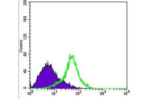 Flow Cytometry (FACS) image for anti-Metadherin (MTDH) antibody (ABIN1108306) (MTDH 抗体)