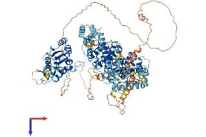 AlphaFold protein structure predicition of Mouse Recombinant Slf1 Protein, UniprotID Q8R3P9