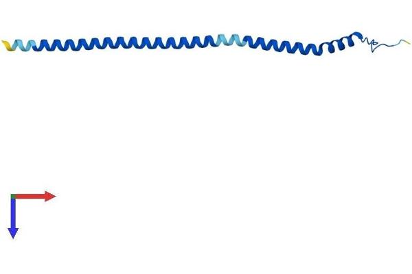 ATP6V1G2 Protein (AA 1-118) (His tag)