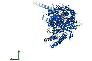Protein Structure (PS) image for N-Acetylated alpha-Linked Acidic Dipeptidase-Like 1 (NAALADL1) (AA 1-745) protein (His tag) (ABIN7558206)
