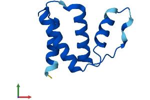 Protein Structure (PS) image for Acyl-CoA Binding Domain Containing 7 (ACBD7) (AA 1-88) protein (Fc Tag) (ABIN7551825)