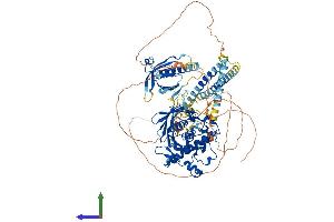 Protein Structure (PS) image for Oxysterol Binding Protein-Like 3 (OSBPL3) (AA 1-887) protein (His tag) (ABIN7554838)