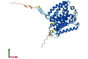Protein Structure (PS) image for ALG3, alpha-1,3- mannosyltransferase (ALG3) (AA 1-438) protein (His tag) (ABIN7559498)