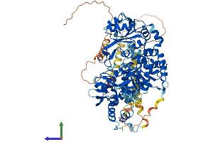 Protein Structure (PS) image for Mannosyl (Alpha-1,6-)-Glycoprotein beta-1,6-N-Acetyl-Glucosaminyltransferase, Isozyme B (MGAT5B) (AA 1-792) protein (His tag) (ABIN7554536)