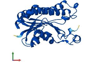 Protein Structure (PS) image for Carbonyl Reductase 4 (CBR4) (AA 1-237) protein (His tag) (ABIN7553079)