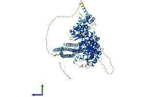 Protein Structure (PS) image for phospholipase C beta 2 (PLCb2) (AA 1-1185) protein (His tag) (ABIN7554978)