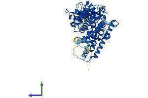 Protein Structure (PS) image for Cytochrome P450, Family 1, Subfamily B, Polypeptide 1 (CYP1B1) (AA 1-543) protein (His tag) (ABIN7553521)