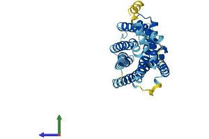 AlphaFold protein structure predicition of Mouse Recombinant Gpr171 Protein, UniprotID Q8BG55