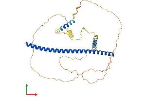 Protein Structure (PS) image for PRKC, Apoptosis, WT1, Regulator (PAWR) (AA 1-340) protein (His tag) (ABIN7550645)