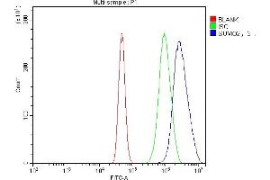Flow Cytometry analysis of A431 cells using anti-SUMO2/3 antibody (ABIN7600856). (SUMO2/3 抗体  (AA 24-72))