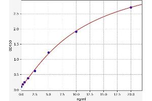 Typical standard curve (SNX9 ELISA 试剂盒)