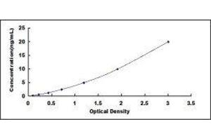 Typical standard curve (ODC1 ELISA 试剂盒)