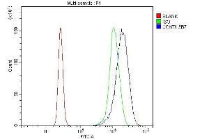 Flow Cytometry analysis of U20S cells using anti-Cyclin T1 antibody (ABIN7602991).
