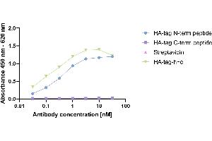 HA-tagged Protein was coated on an ELISA plate at 100 ng. (Recombinant HA-标记 抗体  (AA 98-106))