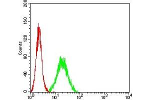 Flow cytometric analysis of Hela cells using CD45R mouse mAb (green) and negative control (red). (CD45 抗体  (AA 378-577))
