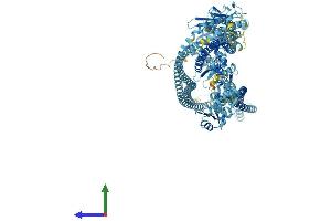 AlphaFold protein structure predicition of Mouse Recombinant Smc1b Protein, UniprotID Q920F6 (SMC1B Protein (AA 1-1248) (His tag))