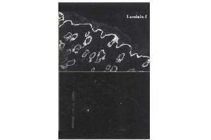 Image no. 1 for anti-Laminin 5 (LN-5) antibody (ABIN191724) (Laminin 5 抗体)