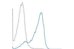 C57Bl/6 splenocytes were stimulated overnight with ConA and then stained with 0. (CD69 抗体  (PerCP-Cy5.5))