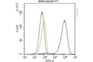 Flow Cytometry analysis of Jurkat cells using anti-TAPA1 antibody . (CD81 抗体  (AA 113-201))