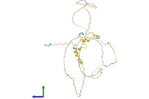 Protein Structure (PS) image for Cylicin, Basic Protein of Sperm Head Cytoskeleton 2 (CYLC2) (AA 1-348) protein (His tag) (ABIN7546879)