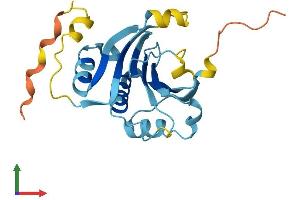 Protein Structure (PS) image for Eukaryotic Translation Initiation Factor 4E Family Member 3 (EIF4E3) (AA 1-207) protein (His tag) (ABIN7561272)
