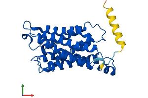 Protein Structure (PS) image for Aquaporin 5 (AQP5) (AA 1-265) protein (His tag) (ABIN7552227)
