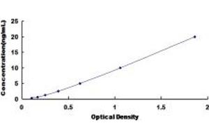 Typical standard curve (HSPB7 ELISA 试剂盒)