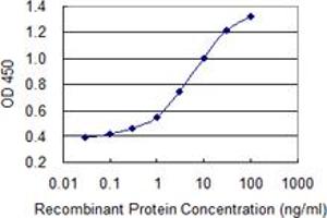 Detection limit for recombinant GST tagged PRKCD is 0. (PKC delta 抗体  (AA 577-676))
