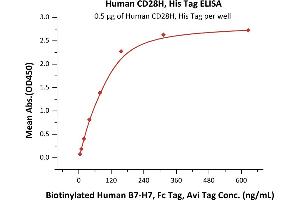 Immobilized Human CD28H, His Tag (ABIN6731262,ABIN6809929) at 5 μg/mL (100 μL/well) can bind Biotinylated Human B7-H7, Fc Tag, Avi Tag (ABIN5955002,ABIN6253641) with a linear range of 10-156 ng/mL (QC tested).