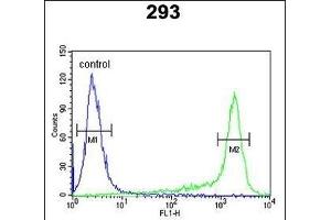 PRDX6 Antibody (Center) (ABIN650765 and ABIN2839536) flow cytometric analysis of 293 cells (right histogram) compared to a negative control cell (left histogram). (Peroxiredoxin 6 抗体  (AA 103-132))