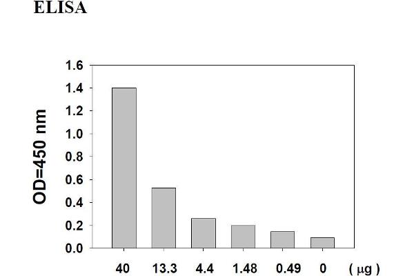 AKT1 ELISA 试剂盒