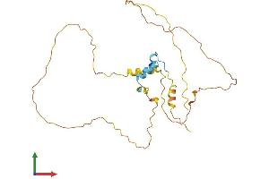 Protein Structure (PS) image for Cbp/p300-Interacting Transactivator, with Glu/Asp-Rich Carboxy-terminal Domain, 2 (CITED2) (AA 1-270) protein (His tag) (ABIN7553482)