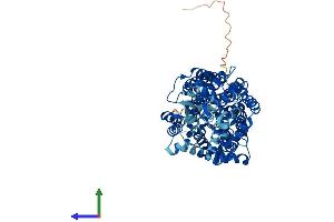 Protein Structure (PS) image for Solute Carrier Family 6 (Amino Acid Transporter), Member 14 (Slc6a14) (AA 1-642) protein (His tag) (ABIN7551629)