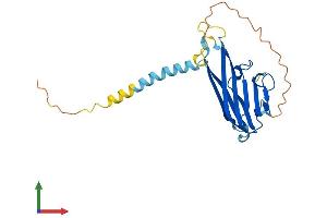 AlphaFold protein structure predicition of Human Recombinant LTB Protein, UniprotID Q06643