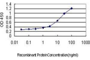 Detection limit for recombinant GST tagged GADD45G is approximately 0. (GADD45G 抗体  (AA 1-159))