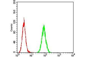 Flow cytometric analysis of Hela cells using HTR3A mouse mAb (green) and negative control (red). (Serotonin Receptor 3A 抗体  (AA 24-157))