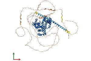 Protein Structure (PS) image for TBC1 Domain Family, Member 10B (TBC1D10B) (AA 1-808) protein (His tag) (ABIN7544231)