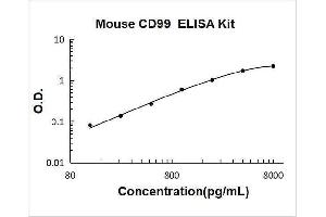 CD99 (CD99) ELISA Kit