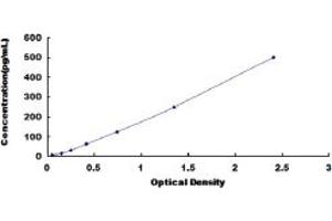 Typical standard curve (CCL3 ELISA 试剂盒)