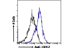 ABIN5539499 Flow cytometric analysis of paraformaldehyde fixed HeLa cells (blue line), permeabilized with 0.