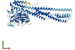 Protein Structure (PS) image for Guanylate Binding Protein 1, Interferon-Inducible (GBP1) (AA 1-589) protein (His tag) (ABIN7556859)