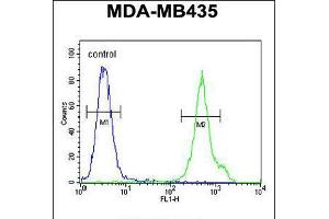 Flow cytometric analysis of MDA-MB435 cells (right histogram) compared to a negative control cell (left histogram). (CD1e 抗体  (AA 184-212))