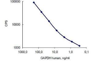 Antigen: Human GAPDH, Capture: GAPDH antibody (10R-G109a) served as a coating; Detection: GAPDH antibody (10R-G109a)  (labelled with stable Eu3+ chelate). (GAPDH 抗体)
