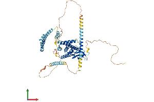 Protein Structure (PS) image for Spermatogenesis Associated 18 (SPATA18) (AA 1-537) protein (His tag) (ABIN7563619)