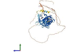 AlphaFold protein structure predicition of Human Recombinant EBF1 Protein, UniprotID Q9UH73