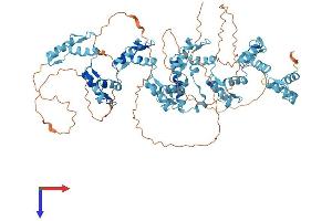AlphaFold protein structure predicition of Human Recombinant ZNF33B Protein, UniprotID Q06732