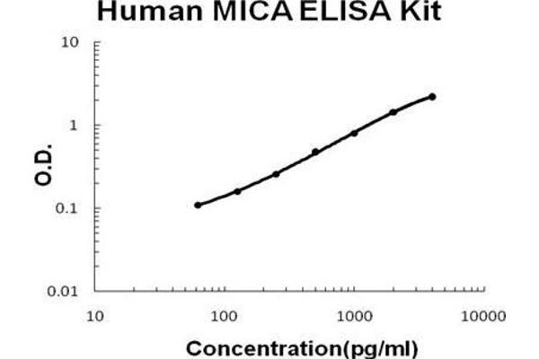 MICA ELISA 试剂盒